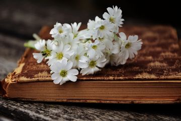 Dnešní motivující horoskop pro dobrou náladu na 11.  2.  2026